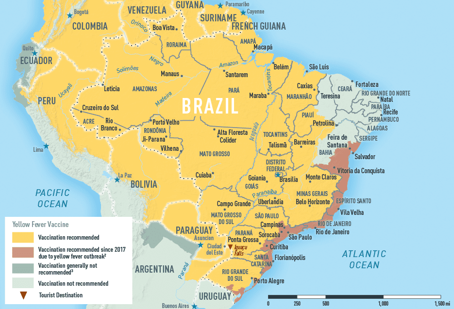 Brazil yellow fever map