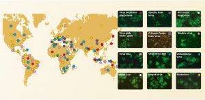 DISTRIBUZIONE MALATTIE TROPICALI