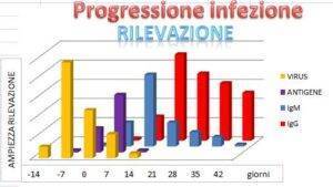 Questo diagramma mostra le fasi di presenza del virus e lo sviluppo dei due tipi di anticorpi (IgM-IgG)