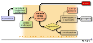 Questa figura rappresenta la “storia naturale dell’infezione”