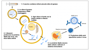 vaccini ad mRNA