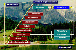 complessità di una risposta al virus