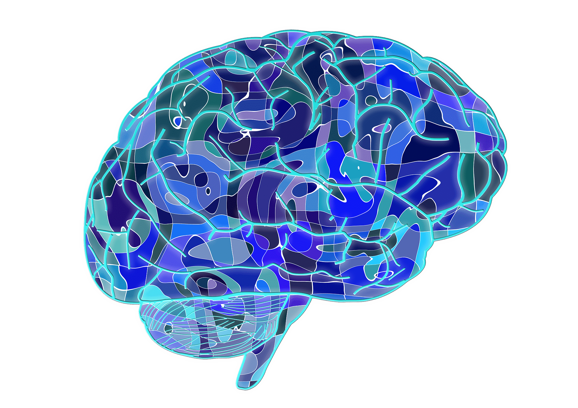 brain-ga6a4e4c6c_1920