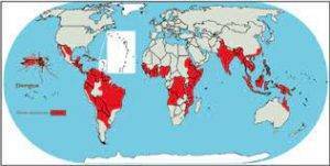 DISTRIBUZIONE NEL MONDO DELLA DENGUE DISTRIBUZIONE NEL MONDO DELLA DENGUE