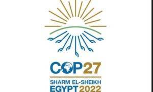 COP 27