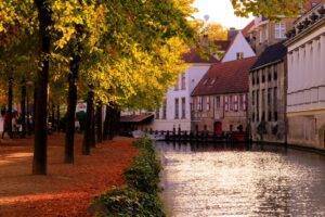 calm river during daytime