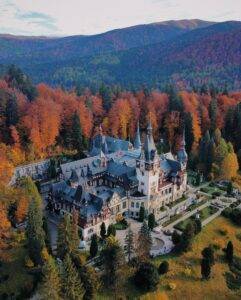 an aerial view of a castle surrounded by trees