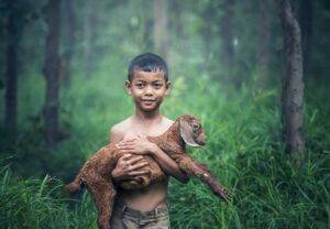 boys, outdoor, thailand