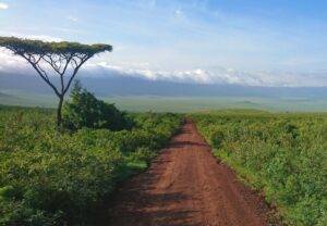 brown dirt road between green grass field under blue sky during daytime